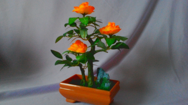 Роза в кашпо оранж
