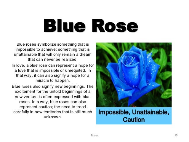 Что означает синие цветы. Синий цвет розы значение. Голубые розы стихи.