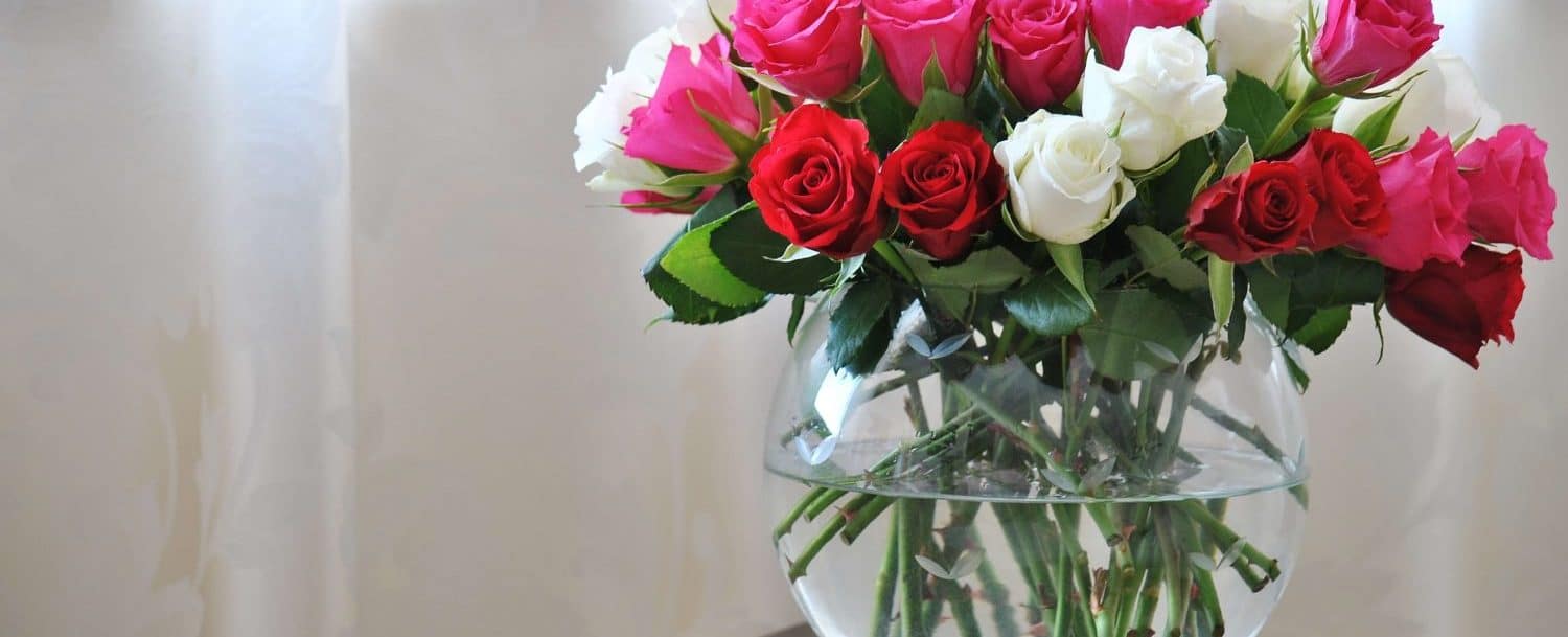 Один цветок в вазе. Как дольше сохранить розы в вазе. Как сохранить срезанные розы в вазе надолго в домашних условиях.