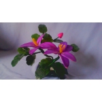 Подарочный цветок из камня (двойной, фиолетовый, ланцет)