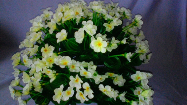 Белые цветы  собирается в букет