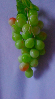 Виноград зеленый