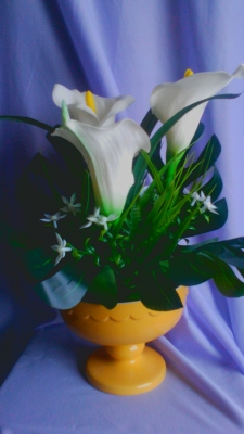 Калла (белая) 3 цветка с листами монстеры в вазоне + подарочная коробка